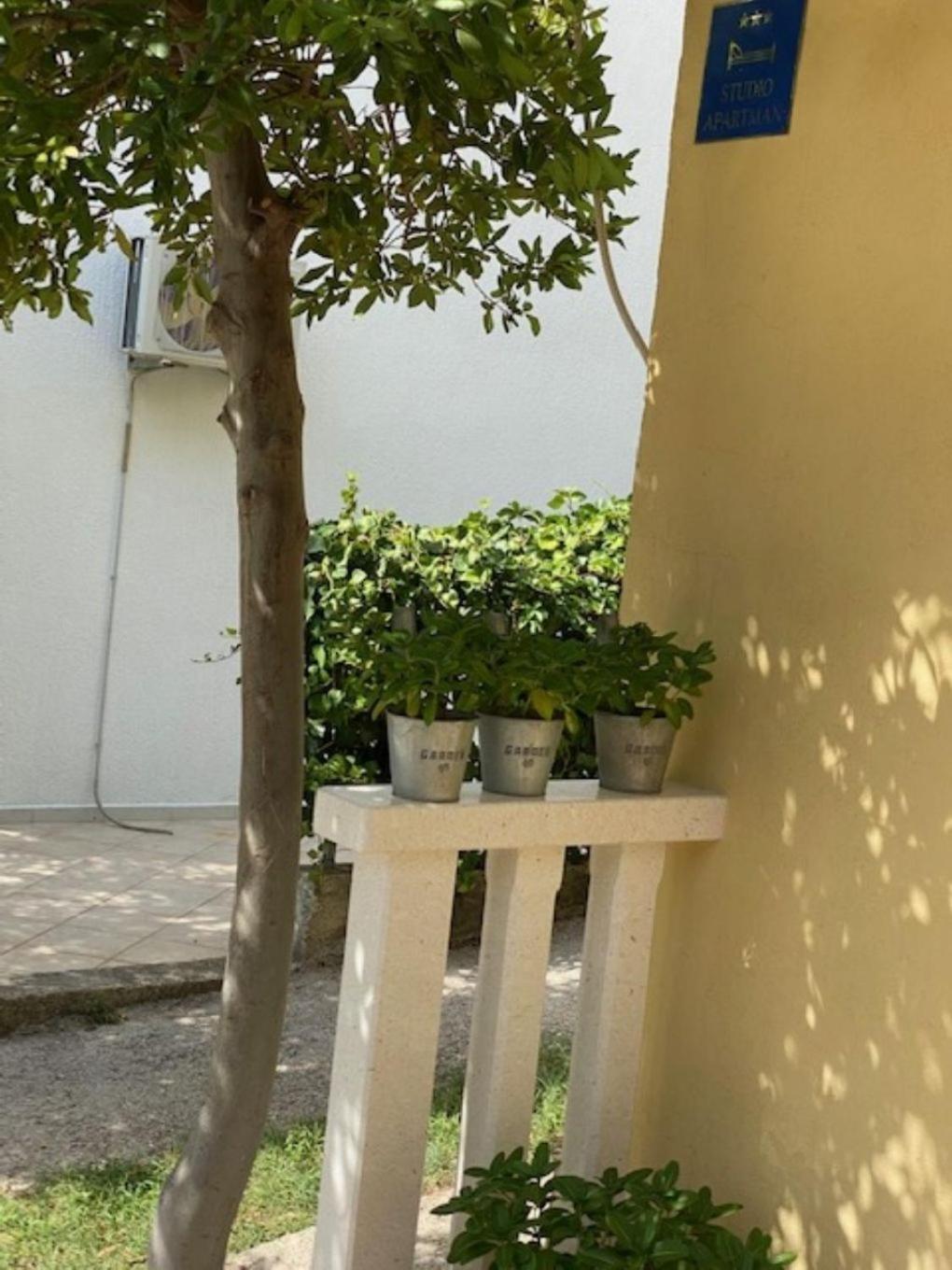 Apartment Toni Baska Voda Ngoại thất bức ảnh